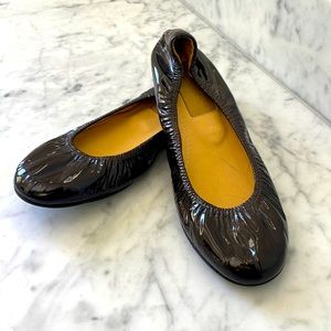 Lanvin Dark brown patient ballet -New. Never worn